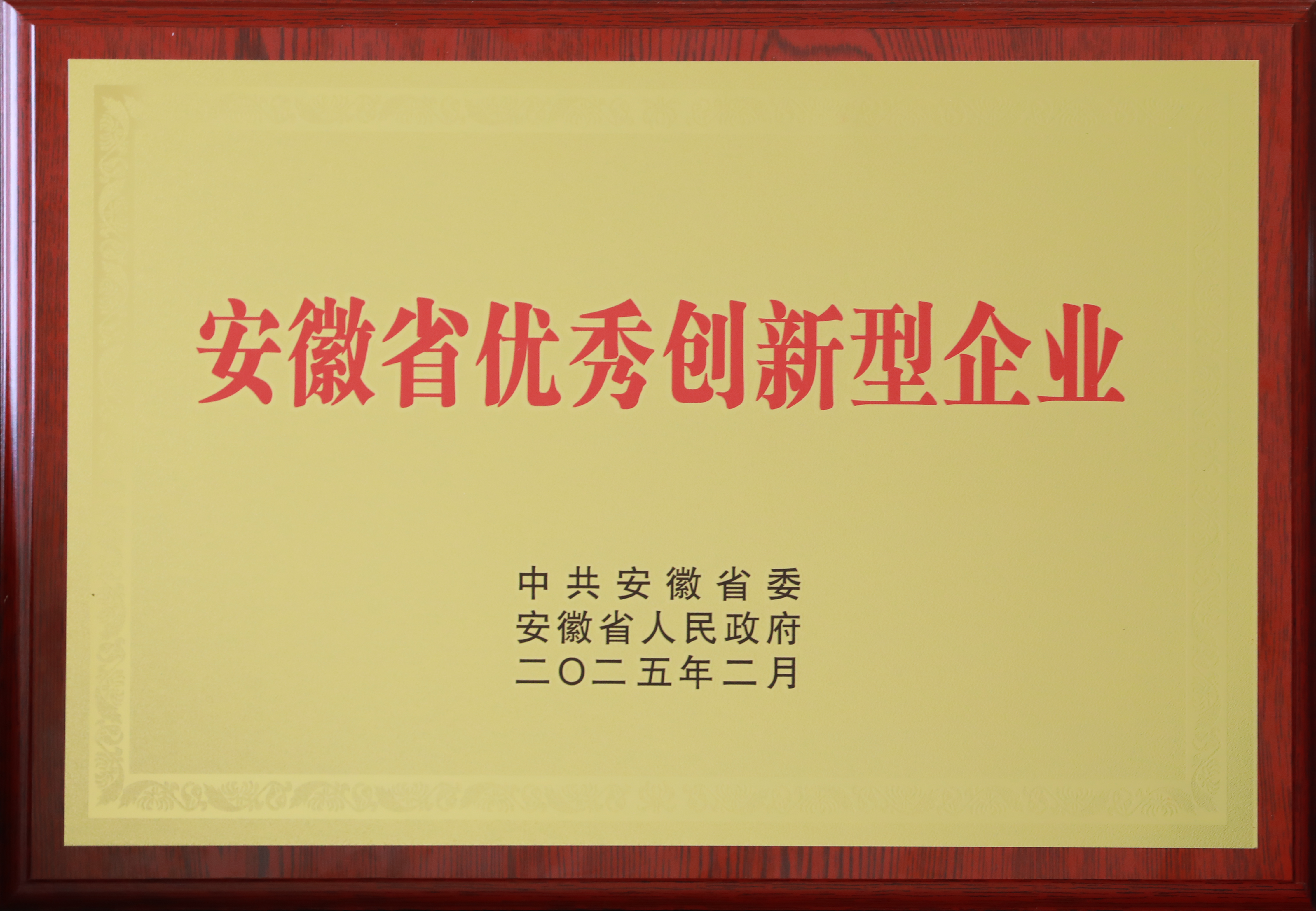 安徽省优异立异型企业.png